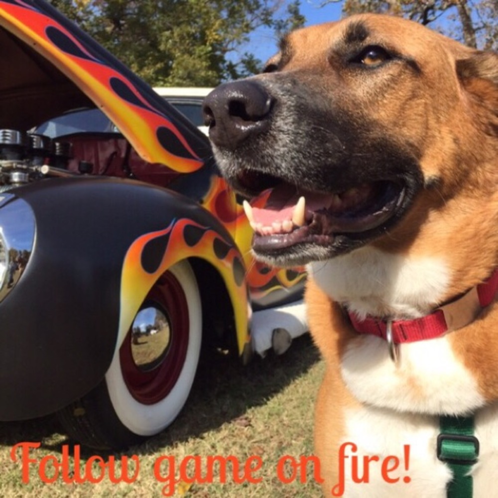 It’s back!! Let’s play at follow game! - Picture 2 of 8